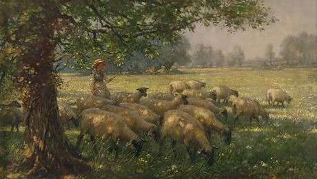 Farm Animal Art Hero