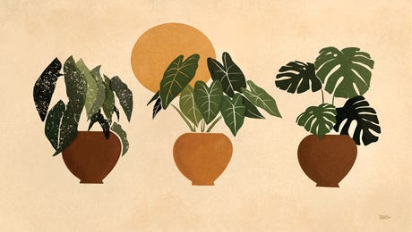 Plant Wall Art