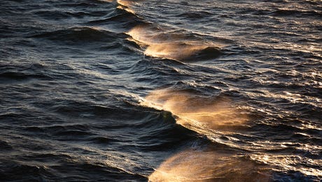 Mareike Böhmer Hero