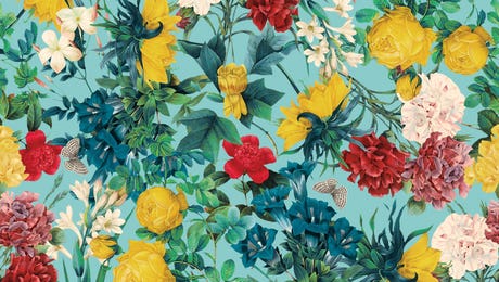 Burcu Korkmazyurek Hero