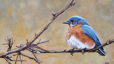 Cyndi Dodes Art