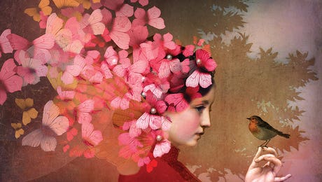 Catrin Welz-Stein Hero