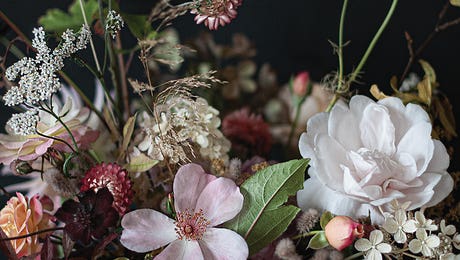 Cornelia Weber RO 152 Hero