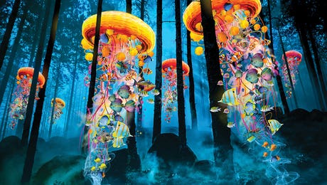 Digital Art on Acrylic Glass