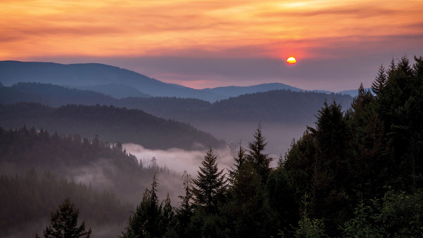 Sunrises & Sunsets July Sale Page