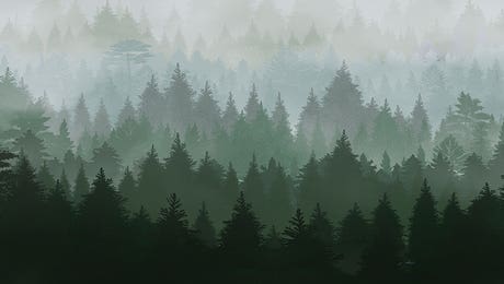 Danilo de Alexandria Hero