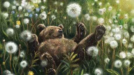 Bears Wall Art