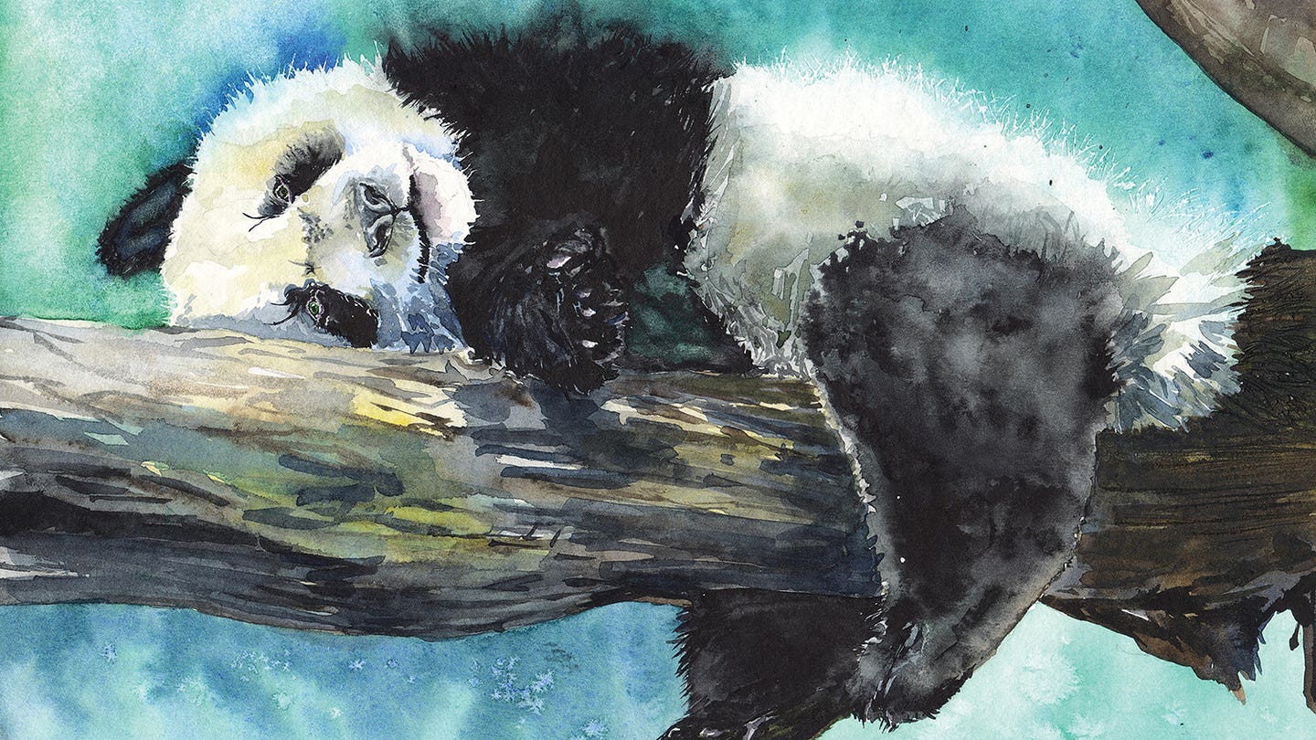 George Dyachenko - Canvas Prints \u0026 Wall Art | iCanvas, image size:1440x810