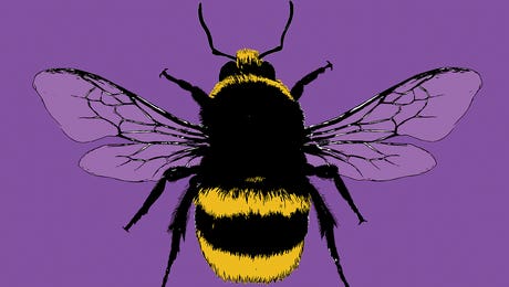 Gary Hogben Art