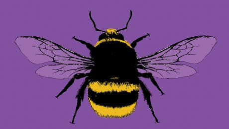 Gary Hogben Art