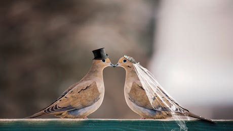 Gifts Inspired by Speak Now - Hero