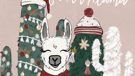 Fa La Llama by Katie Bryant