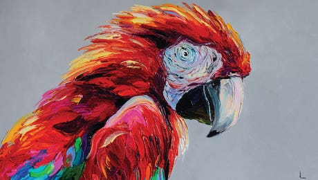 Macaws Art Hero