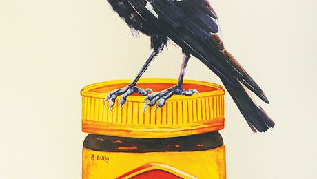 Lauren Barger Art