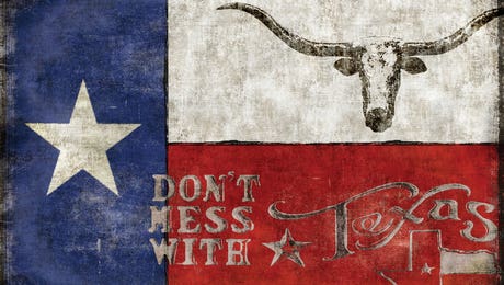 Texas Wall Art
