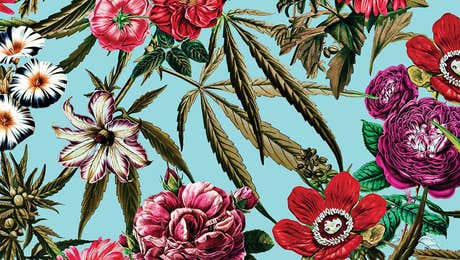 Marijuana Art