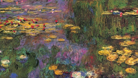 Water Lilies Collection Hero