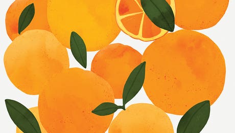 Oranges Wall Art