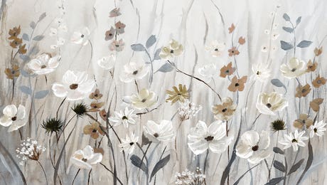 Comfort Zone LP Hero