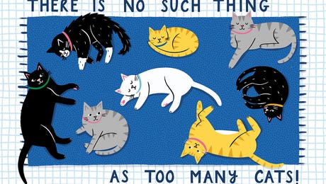 Nat Ellis RO 155 Hero