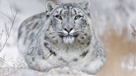 Patrick van Bakkum Hero