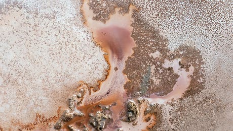 Rose Gold Art