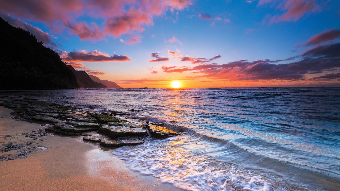 photography sale page march