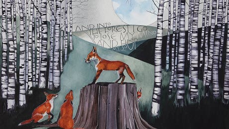 Earthly Wonders LP Hero