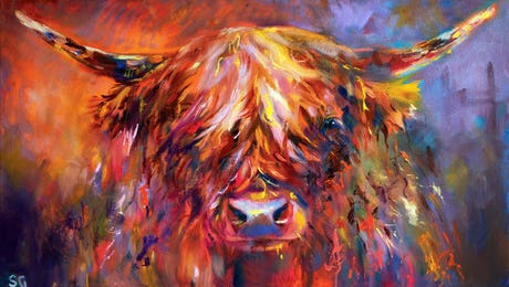 Cows Wall Art