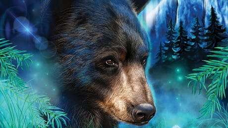 Sheena Pike Art