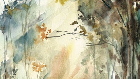 Sophie Rodionov Hero