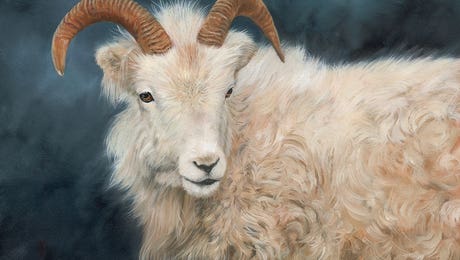 Goat Wall Art