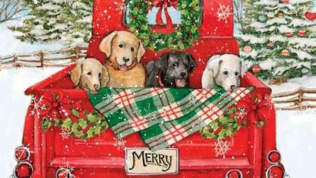 Dogs In Truck by Susan Winget