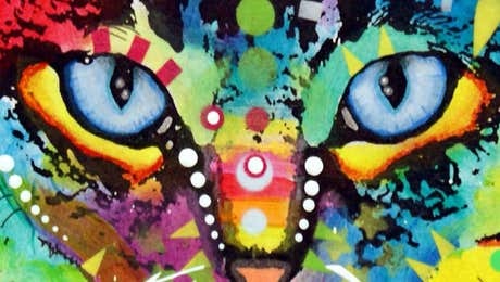 Abyssinian Cat Art