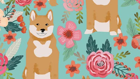 Akita Art