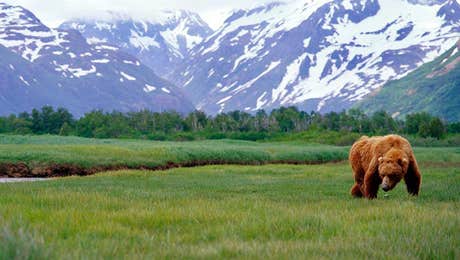 Alaska Art