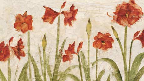 Amaryllis Art
