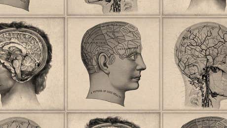 Anatomy Art