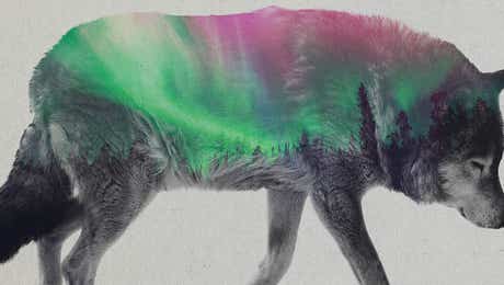 Double Exposure Photography