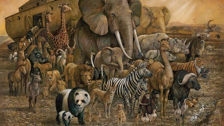 Animal Lover Art