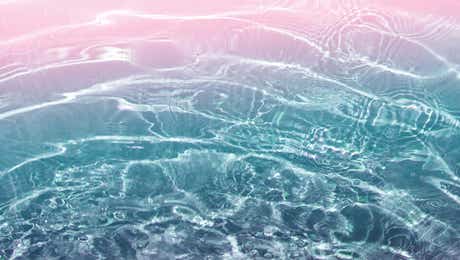 Anita's & Bella's Art