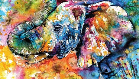 Anna Brigitta Kovacs