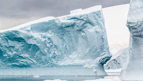 Antarctica Art