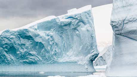 Antarctica Art