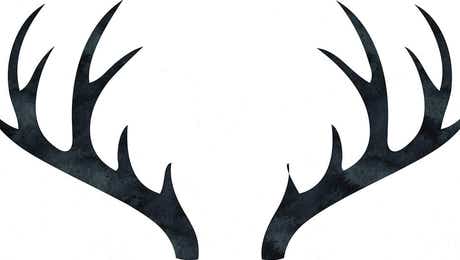 Antler Art