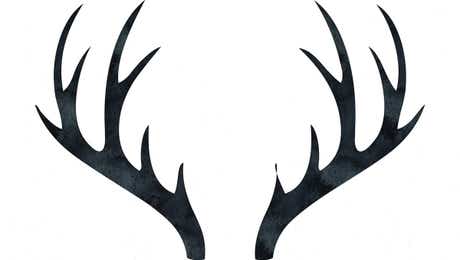 Antler Art