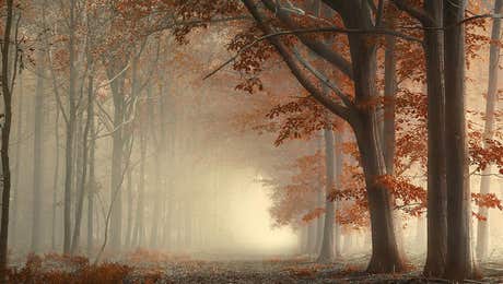 Atmospheric Photography