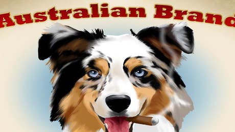 Australian Shepherd Art