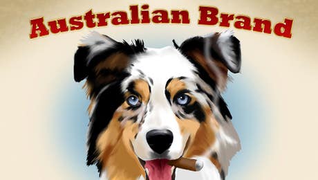 Australian Shepherd Art