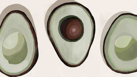 Avocados